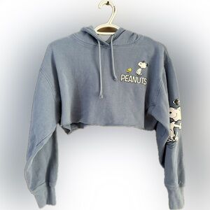 Peanuts Red and Gray Hoodie